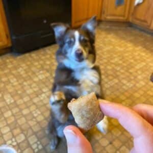 Homemade Dog Treats