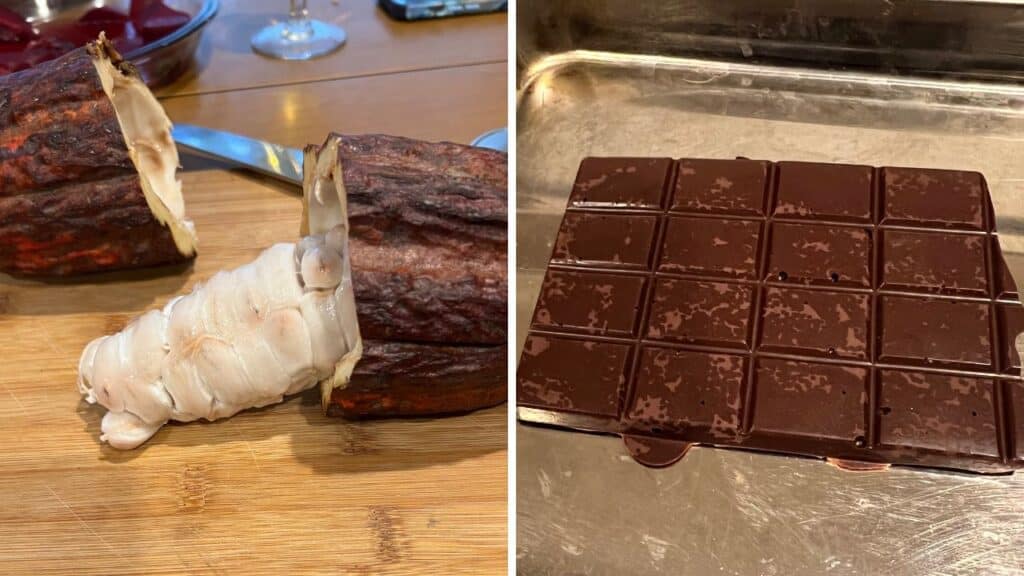 How To Make Chocolate From Scratch From A Fresh Cocao Pod