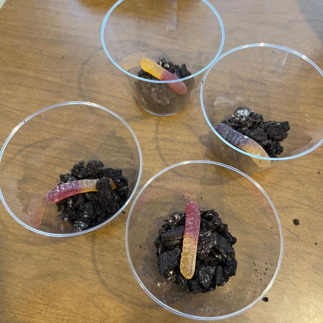 Oreo Dirt Cup Recipe - 4 cups with oreo cookie crumbs in the bottom and 1 gummy worm.